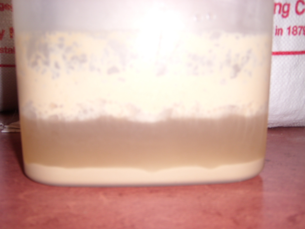 An alle Ungläubigen,hier das Bild,die dünne Schicht Hefe OG(unten